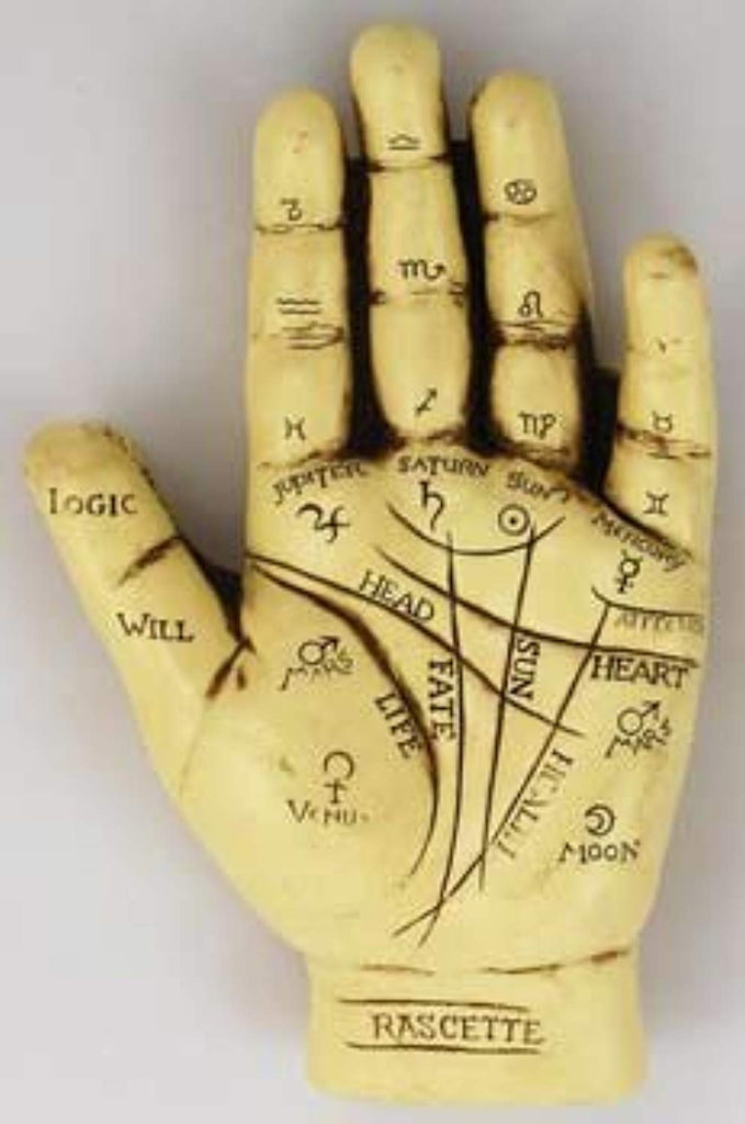 NEW Palmistry Hand Model Resin Sculpture Fortune Telling Palm Reading, , FESSONLINE, FESSONLINE