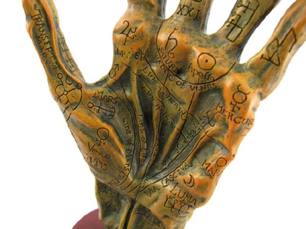 Alchemy Mummified Palmistry Hand Gothic, , FESSONLINE, FESSONLINE